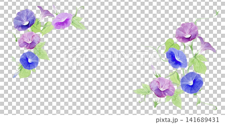 牽牛花框架材質畫水彩 牽牛花框架材質畫水彩 141689431