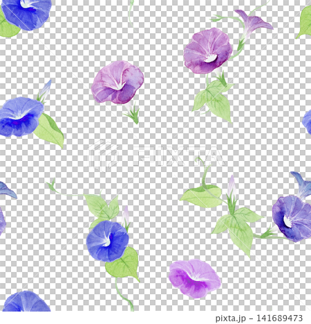 水彩で描いた朝顔のイラストパターン 水彩で描いた朝顔のイラストパターン 141689473