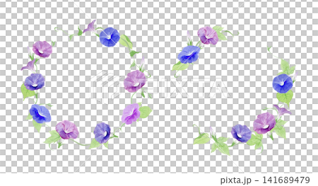 牽牛花水彩插畫邊框 牽牛花水彩插畫邊框 141689479