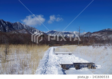 冬の戦場ヶ原と金精峠方面の静寂な風景 141690533