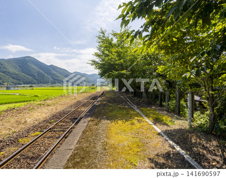 若桜鉄道「隼駅」から見る八頭町の田園風景 若桜鉄道「隼駅」から見る八頭町の田園風景 141690597