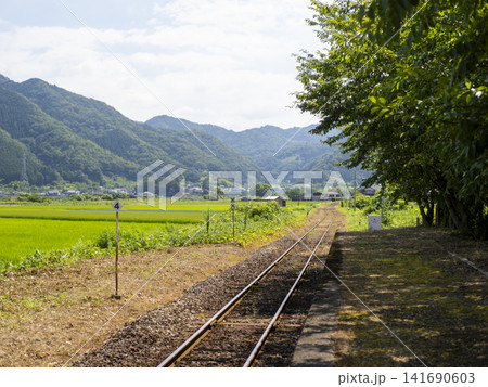 若桜鉄道「隼駅」から見る八頭町の田園風景 若桜鉄道「隼駅」から見る八頭町の田園風景 141690603
