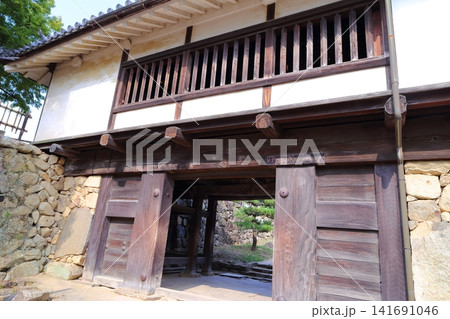 彦根城 彦根城 141691046