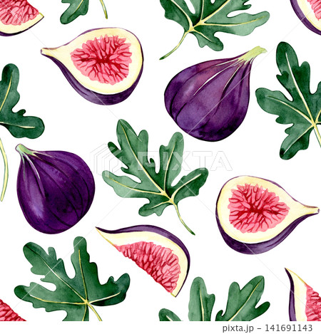 Fig, fruit and leaf seamless pattern. Watercolor illustration Fig, fruit and leaf seamless pattern. Watercolor illustration 141691143