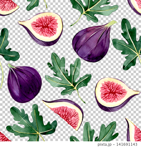 Fig, fruit and leaf seamless pattern. Watercolor illustration Fig, fruit and leaf seamless pattern. Watercolor illustration 141691143