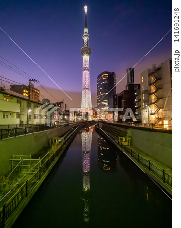夕暮れのスカイツリー 夕暮れのスカイツリー 141691248