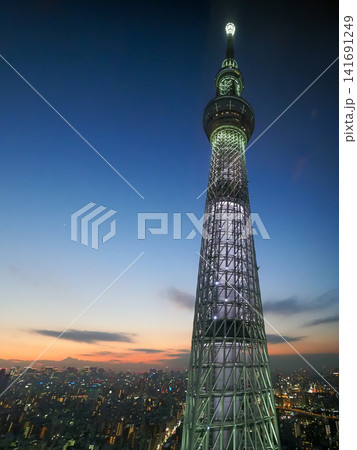 夕暮れのスカイツリー 夕暮れのスカイツリー 141691249