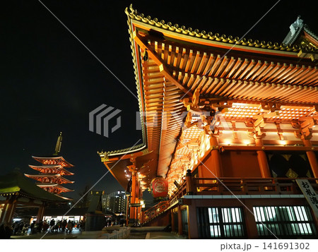 ライトアップされた浅草寺と五重塔 ライトアップされた浅草寺と五重塔 141691302