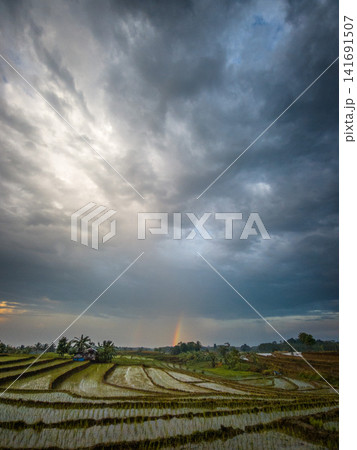 Aerial view of Sapa rice terraces at sunrise with golden light over green fields and misty mountain valleys. 141691507
