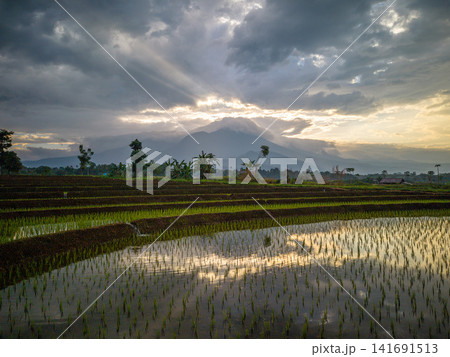 Aerial view of Sapa rice terraces at sunrise with golden light over green fields and misty mountain valleys. Aerial view of Sapa rice terraces at sunrise with golden light over green fields and misty mountain valleys. 141691513