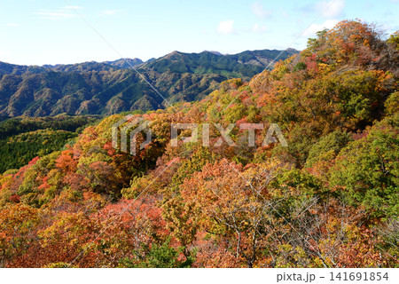 茨城県常陸太田市 錦をまとう鍋足山からの眺望 茨城県常陸太田市 錦をまとう鍋足山からの眺望 141691854