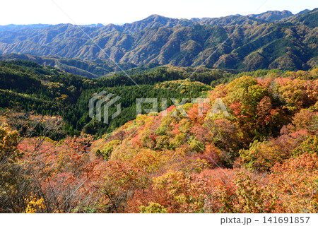 茨城県常陸太田市鍋足山 錦秋の常陸の山に登る 141691857