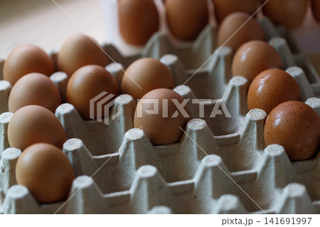 Fresh Chicken Eggs in Paper Egg Cartons Close Up Fresh Chicken Eggs in Paper Egg Cartons Close Up 141691997
