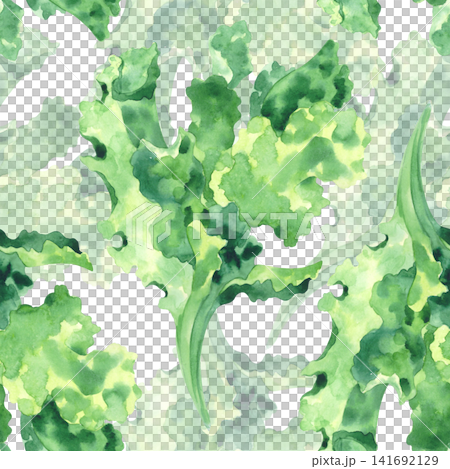 Seamless pattern of the lettuce. Watercolor illustration. Handmade art work. For packaging design, cards, cover, prints, product labels and fabric. Seamless pattern of the lettuce. Watercolor illustration. Handmade art work. For packaging design, cards, cover, prints, product labels and fabric. 141692129
