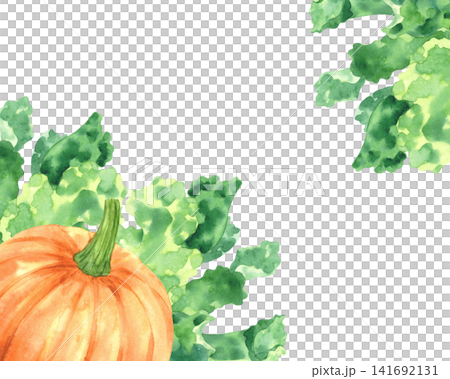 Frame of the pumpkin and lettuce. Watercolor illustration. Handmade art work. For packaging design, cards, cover, prints, product labels and fabric. 141692131