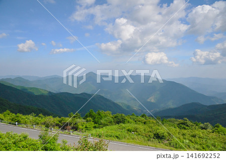 清々しい!高知観光名所天狗高原 清々しい!高知観光名所天狗高原 141692252