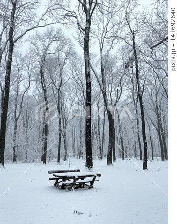 Wooden picnic table covered with snow in winter forest clearing. Outdoor leisure area transformed by cold season and silence Wooden picnic table covered with snow in winter forest clearing. Outdoor leisure area transformed by cold season and silence 141692640