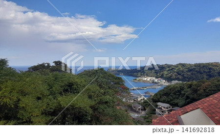 川奈の港町を見下ろす海と自然豊かな風景 川奈の港町を見下ろす海と自然豊かな風景 141692818