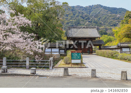 山口県指定重要文化財の本瓦葺き旧山口藩庁門 山口県指定重要文化財の本瓦葺き旧山口藩庁門 141692850