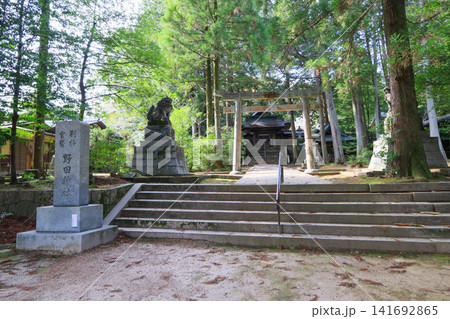 山口市天花にある野田神社参道と鳥居 山口市天花にある野田神社参道と鳥居 141692865