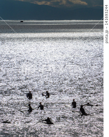 真冬の海のサーファー 真冬の海のサーファー 141693244