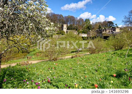 St Peter's Church and the historic grounds of Dyrham Park framed by spring daffodils and tulips in Gloucestershire 141693296