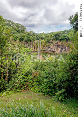 Chamarel Waterfall Dropping into a Lush Forested Gorge in Mauritius 141693443