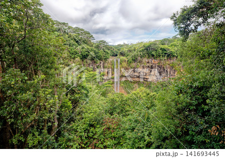 Chamarel Waterfall Dropping into a Lush Forested Gorge in Mauritius Chamarel Waterfall Dropping into a Lush Forested Gorge in Mauritius 141693445
