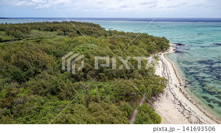 Aerial high angle shot of the sandbar beach, turquoise lagoon channel, and anchored boats at Ile aux Cerfs, Mauritius 141693506