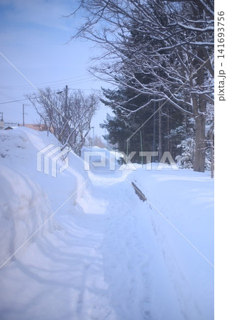 雪壁に囲まれた冬の遊歩道と雪化粧した並木道 雪壁に囲まれた冬の遊歩道と雪化粧した並木道 141693756