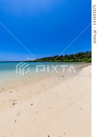 喜界島　志戸桶海水浴場 141693875