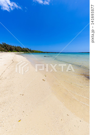 喜界島　志戸桶海水浴場 141693877
