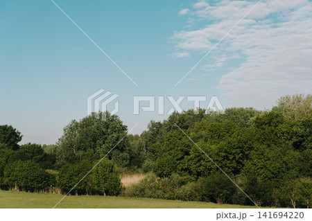 Dense green woodland stretches across open grassland in the Serbian countryside. Useful for rural tourism, ecology, natural background and environmental concepts 141694220