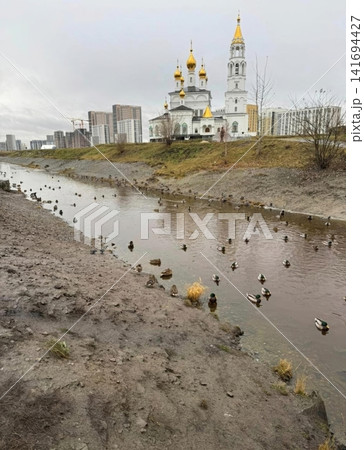 A picturesque view of a flock of ducks swimming in a shallow urban canal with an ornate church featuring golden domes in the background, surrounded by new residential high rise buildings in a city. A picturesque view of a flock of ducks swimming in a shallow urban canal with an ornate church featuring golden domes in the background, surrounded by new residential high rise buildings in a city. 141694427