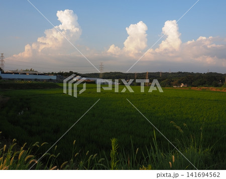 夕暮れ時の積乱雲 夕暮れ時の積乱雲 141694562