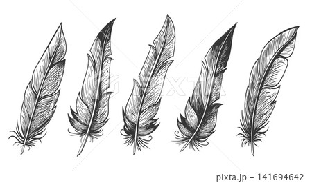 Boho style feathers set Boho style feathers set 141694642