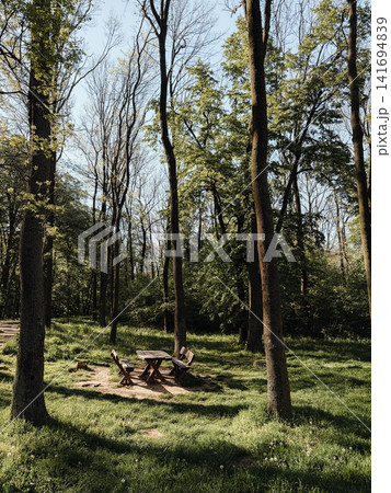 Wooden picnic table stands in quiet spring forest clearing with soft sunlight. Peaceful outdoor leisure concept for relaxation, recreation and nature escape 141694839