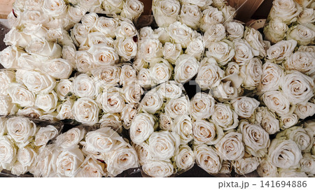 White rose bouquets arranged in dense floral display at flower market. Elegant flower retail concept for romance, wedding, gifting and luxury decoration 141694886