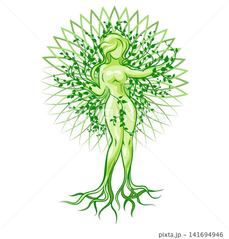 Dryad woman tree vector illustration Dryad woman tree vector illustration 141694946