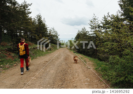 Traveler hiking with dogs on a mountain forest road in Serbia. Concept of outdoor adventure, tourism, freedom and active lifestyle in nature 141695292