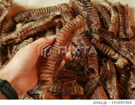 Person holding a dried beef trachea dog treat above a pile of natural chews. Concept of pet nutrition, healthy rewards, training and premium canine products Person holding a dried beef trachea dog treat above a pile of natural chews. Concept of pet nutrition, healthy rewards, training and premium canine products 141695368