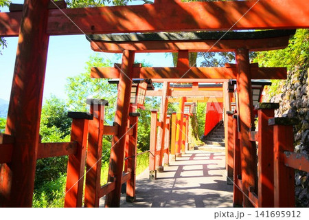 太皷谷稲成神社の千本鳥居と石段 太皷谷稲成神社の千本鳥居と石段 141695912