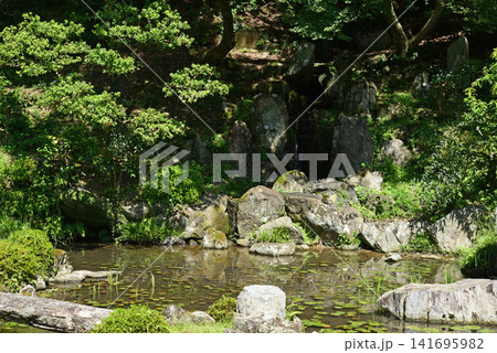 根来寺の庭園 根来寺の庭園 141695982