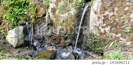 Small waterfall cascading from mossy rocks Small waterfall cascading from mossy rocks 141696211