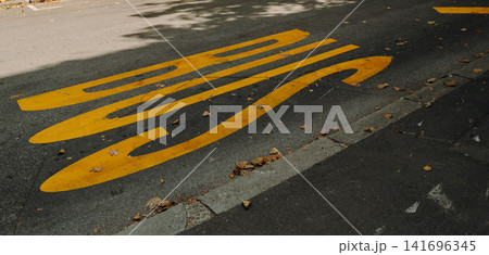 Yellow BUS lane marking painted on an asphalt road in Belgrade, Serbia. Urban traffic infrastructure with road symbols and street details Yellow BUS lane marking painted on an asphalt road in Belgrade, Serbia. Urban traffic infrastructure with road symbols and street details 141696345