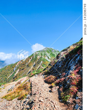 秋の針ノ木岳・蓮華岳登山（針ノ木岳～蓮華岳） 141696749