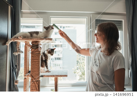 Woman offering a soft treat to a domestic cat resting on a cat tree by the window. Warm indoor lifestyle scene showing trust, bonding, positive reinforcement, and pet care. Woman offering a soft treat to a domestic cat resting on a cat tree by the window. Warm indoor lifestyle scene showing trust, bonding, positive reinforcement, and pet care. 141696951