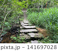 緑に包まれた山道の石段 六甲山 141697028