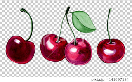 Set of cherries fruit. Watercolor illustration in a cartoon style. Set of cherries fruit. Watercolor illustration in a cartoon style. 141697184