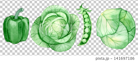 Watercolor illustration, set of green vegetables. cabbage, pepper, and green peas. 141697186